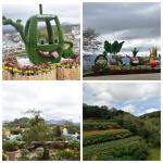 Двухдневная экскурсия из Нячанга в Далат (Вьетнам) фото